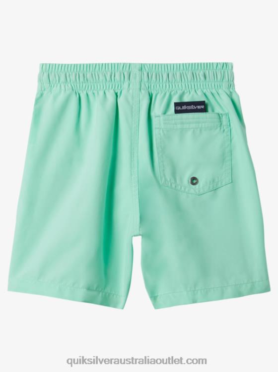 Quiksilver Boys 2-7 Everyday 12 Volleys H2N4B1999 beach glass