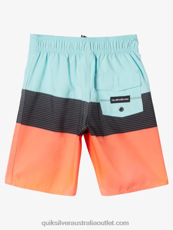 Quiksilver Boys 2-7 Everyday Panel 14 Boardshorts H2N4B1895 angel blue