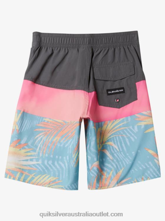 Quiksilver Boys 2-7 Everyday Panel 14 Boardshorts H2N4B1900 iron gate