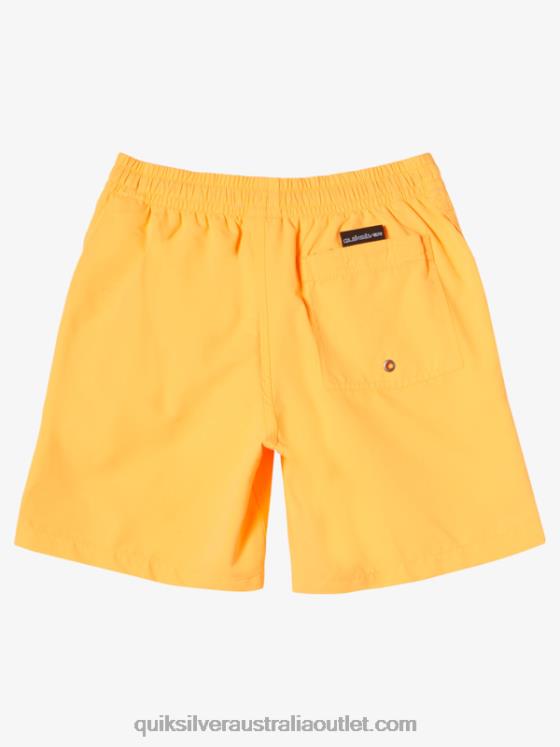 Quiksilver Boys 8-16 Everyday 15Volleys H2N4B1917 orange pop