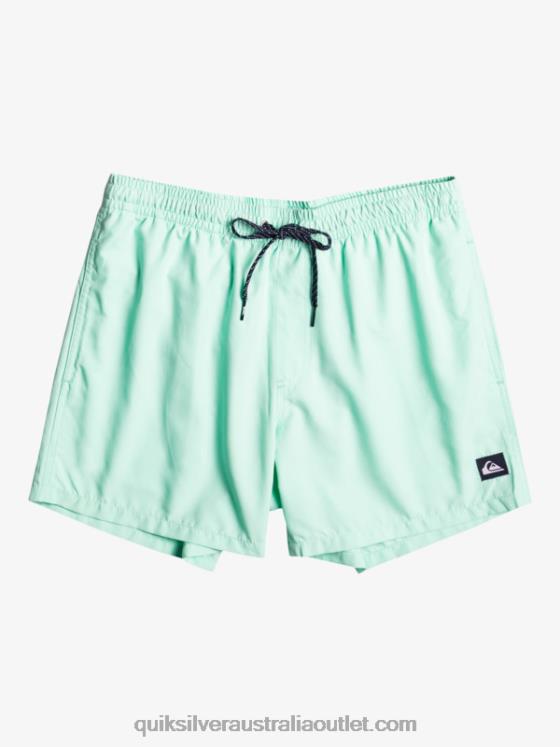 Quiksilver Boys 8-16 Everyday 15Volleys H2N4B1919 beach glass