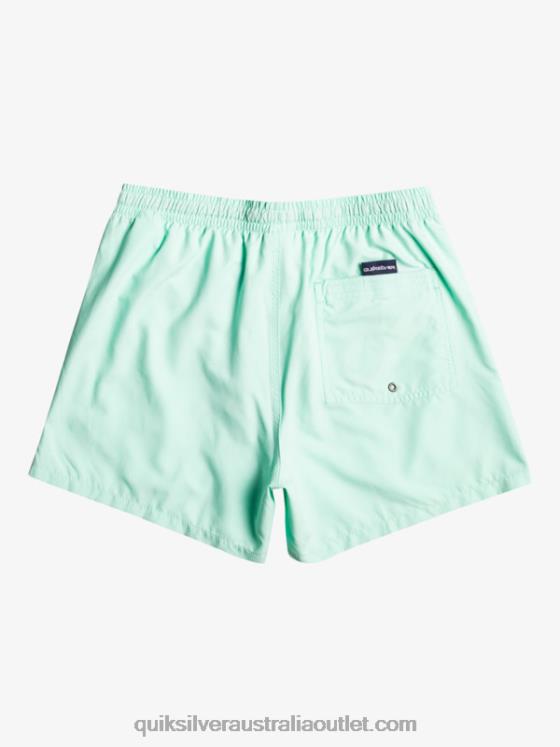 Quiksilver Boys 8-16 Everyday 15Volleys H2N4B1919 beach glass