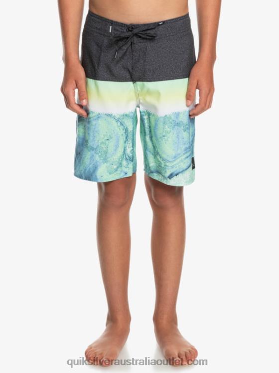 Quiksilver Boys 8-16 Everyday Panel Yth 17 Boardshort H2N4B2274 green ash