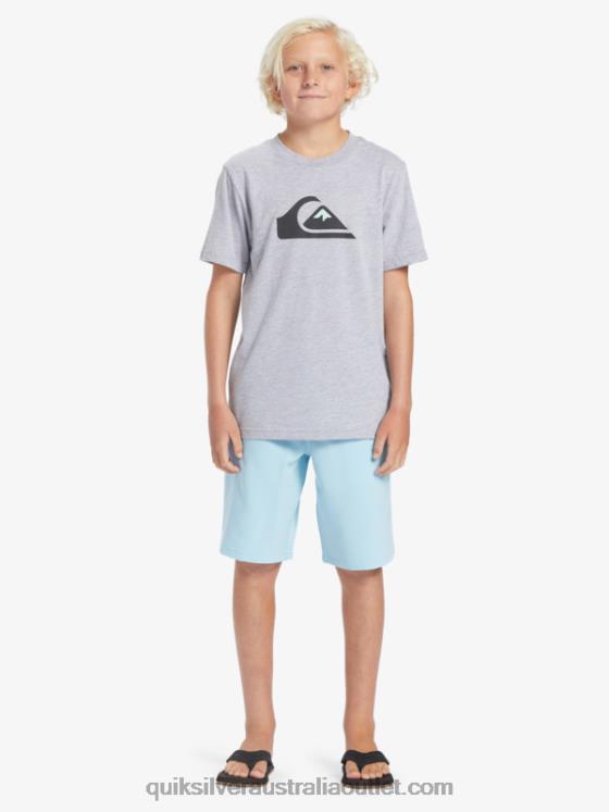 Quiksilver Boys 8-16 Ocean Elastic 18 Amphibian Boardshorts H2N4B2068 sky blue