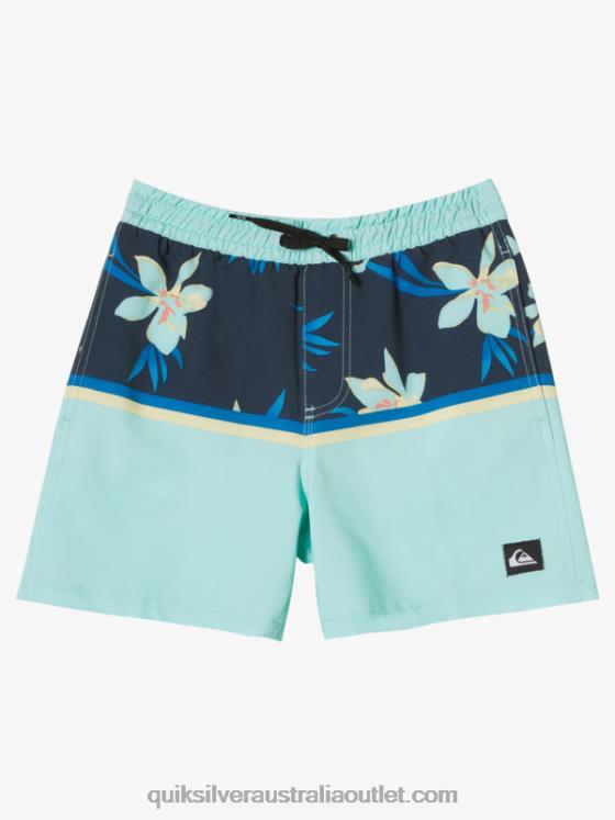 Quiksilver Boys 8-16 Surfsilk Division Vl 14 Volleys H2N4B2141 beach glass