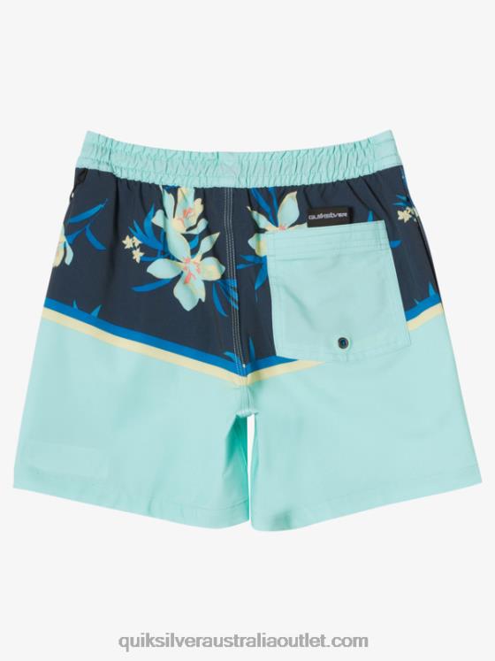 Quiksilver Boys 8-16 Surfsilk Division Vl 14 Volleys H2N4B2141 beach glass