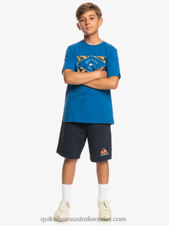 Quiksilver Boys 8-16 Easy Day Joggers H2N4B2069 navy blazer