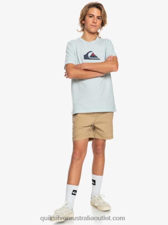 Quiksilver Boys 8-16 Taxer 15 Elastic Waist Shorts H2N4B2080 plage