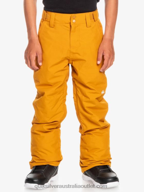 Quiksilver Boys 8-16 Estate Snow Pants H2N4B2293 buckthorn brown