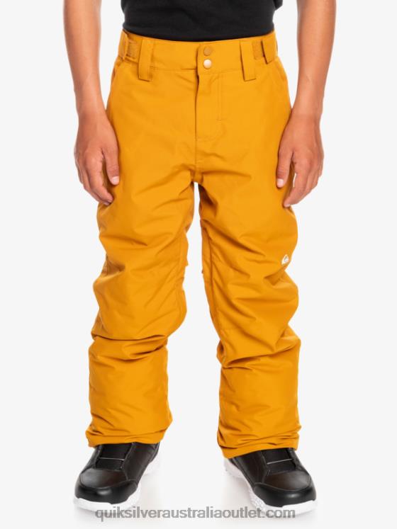 Quiksilver Boys 8-16 Estate Snow Pants H2N4B2293 buckthorn brown