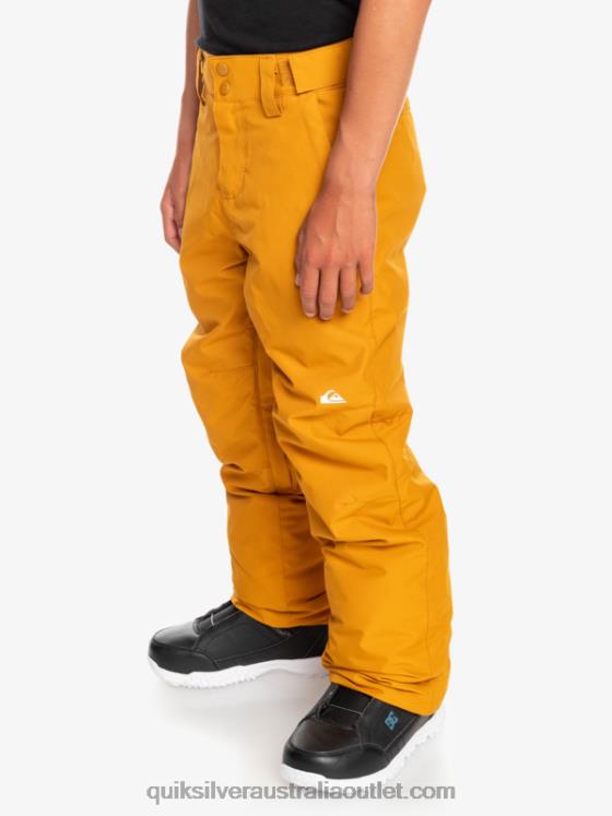 Quiksilver Boys 8-16 Estate Snow Pants H2N4B2293 buckthorn brown