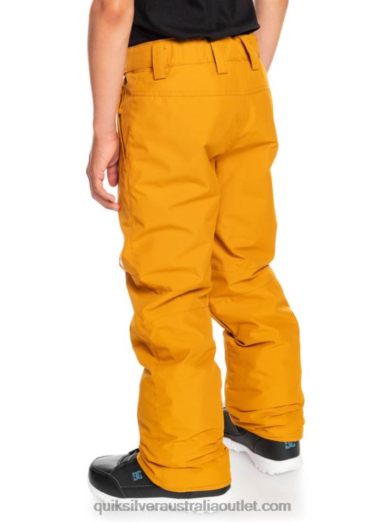 Quiksilver Boys 8-16 Estate Snow Pants H2N4B2293 buckthorn brown
