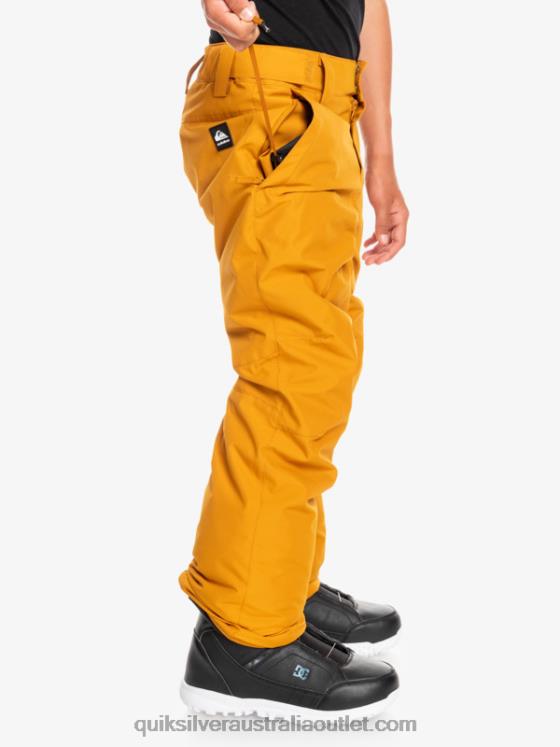Quiksilver Boys 8-16 Estate Snow Pants H2N4B2293 buckthorn brown