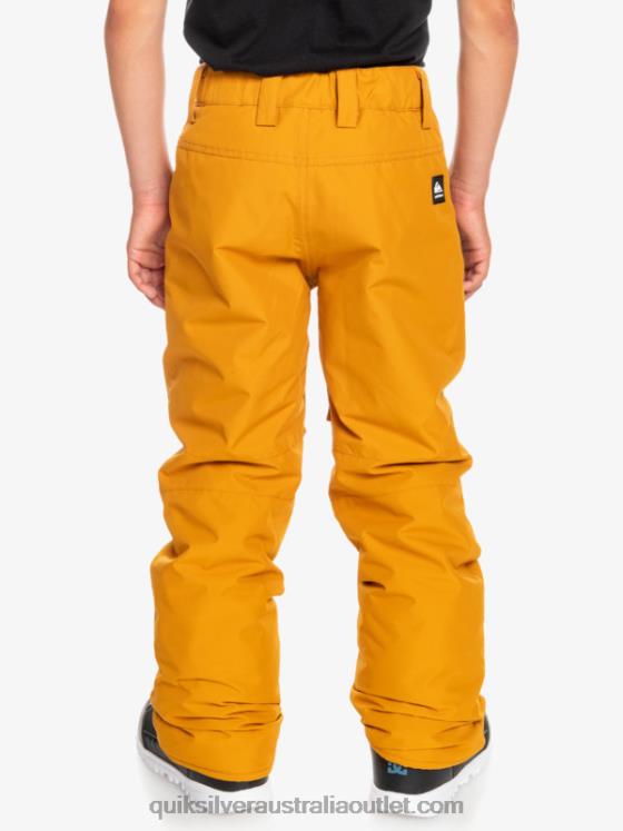 Quiksilver Boys 8-16 Estate Snow Pants H2N4B2293 buckthorn brown