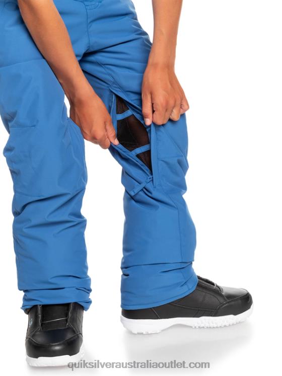 Quiksilver Boys 8-16 Estate Snow Pants H2N4B2294 bright cobalt