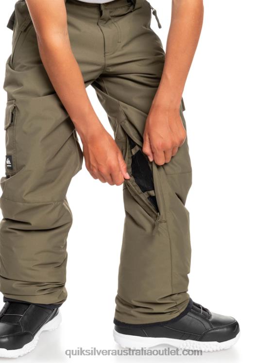 Quiksilver Boys 8-16 Porter Snow Pants H2N4B2259 grape leaf