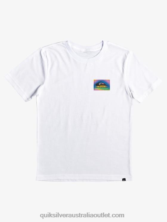Quiksilver Boys 8-16 Color Flow T-shirt H2N4B2172 white