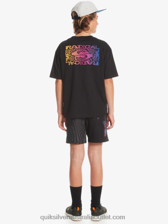 Quiksilver Boys 8-16 Radical Flag T-Shirt H2N4B1966 black