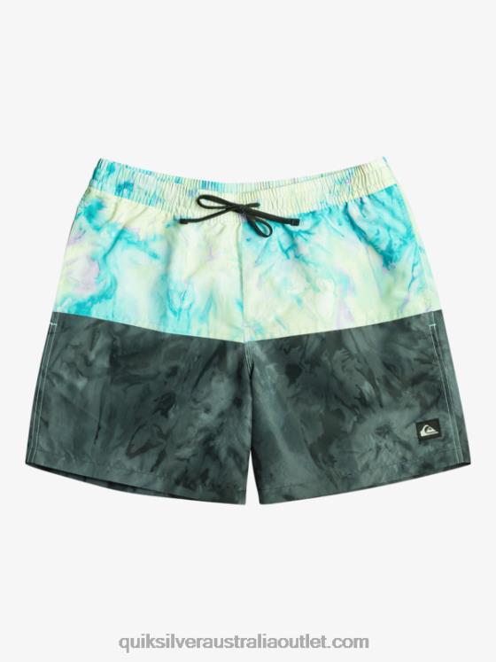 Quiksilver Men Butt Logo 17 Volleys H2N4B486 black