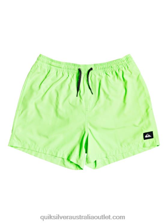 Quiksilver Men Everyday 15 Volleys H2N4B460 green gecko