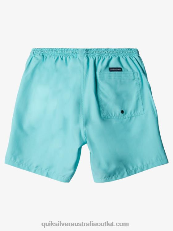 Quiksilver Men Everyday 17 Volleys H2N4B630 angel blue heather