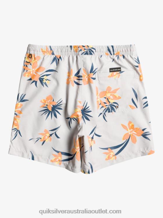 Quiksilver Men Everyday Mix 17 Volleys H2N4B1210 grey violet