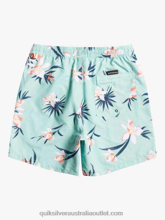 Quiksilver Men Everyday Mix 17 Volleys H2N4B1211 beach glass