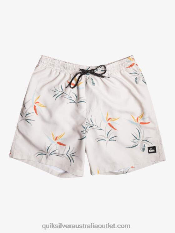 Quiksilver Men Everyday Mix 17 Volleys H2N4B676 birch