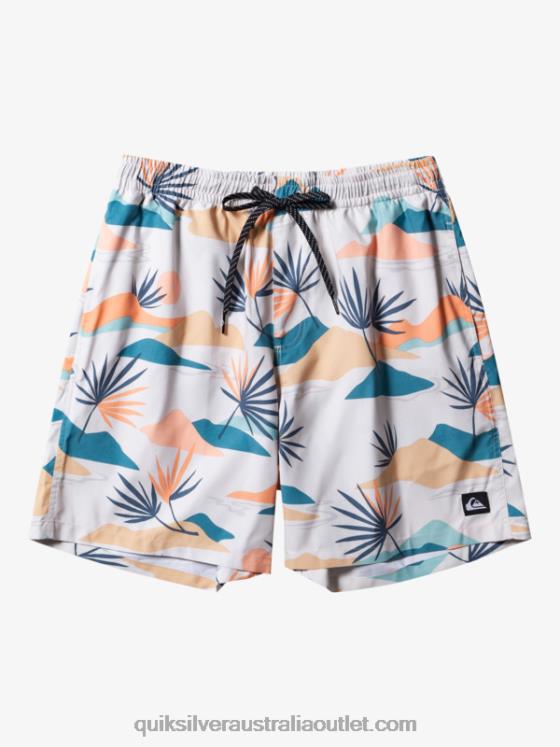 Quiksilver Men Everyday Mix 17 Volleys H2N4B678 birch