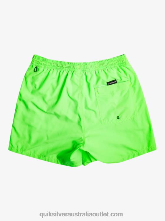 Quiksilver Men Everyday Vert 16 Volleys H2N4B696 green gecko