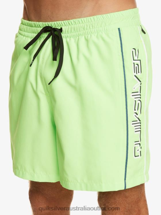 Quiksilver Men Everyday Vert 16 Volleys H2N4B696 green gecko
