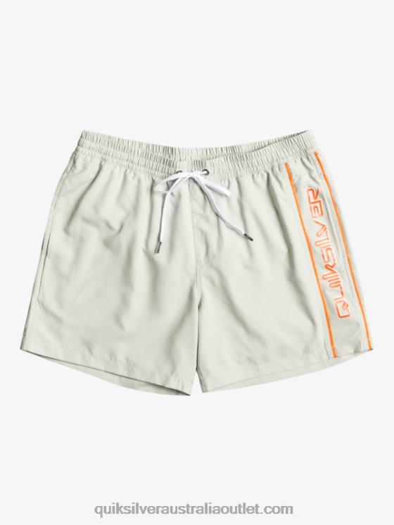 Quiksilver Men Everyday Vert 16 Volleys H2N4B700 gray violet