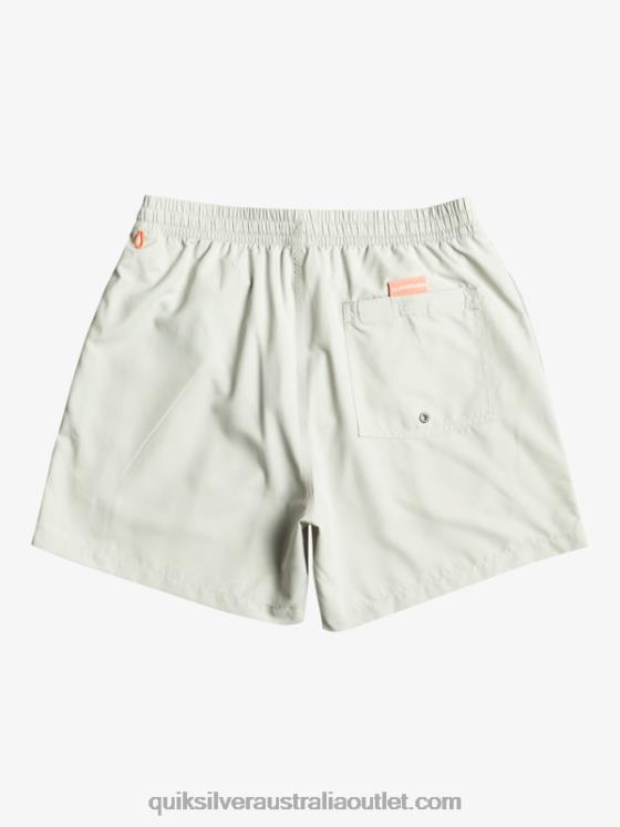 Quiksilver Men Everyday Vert 16 Volleys H2N4B700 gray violet