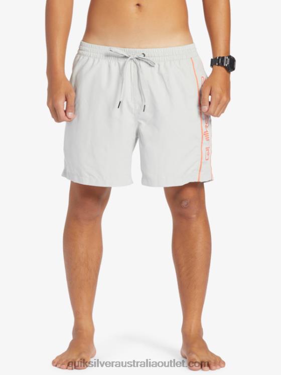 Quiksilver Men Everyday Vert 16 Volleys H2N4B700 gray violet