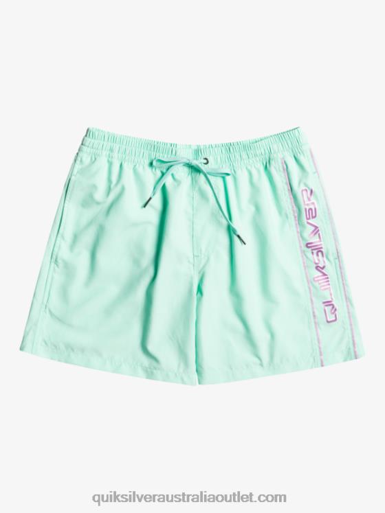 Quiksilver Men Everyday Vert 16 Volleys H2N4B702 beach glass