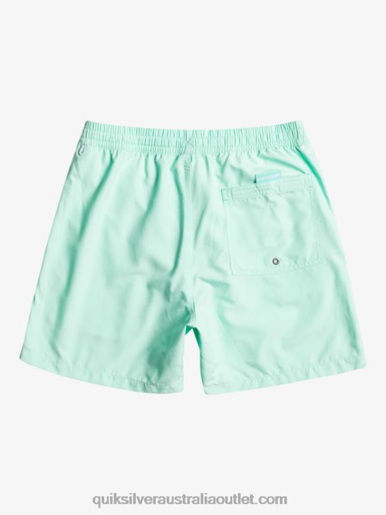 Quiksilver Men Everyday Vert 16 Volleys H2N4B702 beach glass