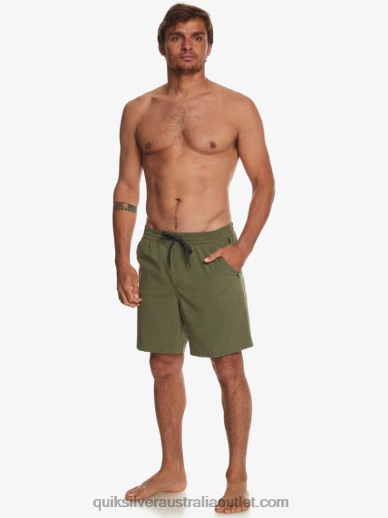 Quiksilver Men Taxer Heather 18 Amphibian Boardshorts H2N4B303 four leaf clover