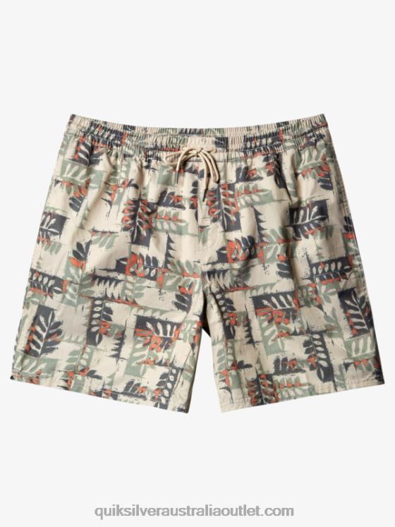 Quiksilver Men Waterman Canoes Reef 17 Volleys H2N4B546 brown rice canoe