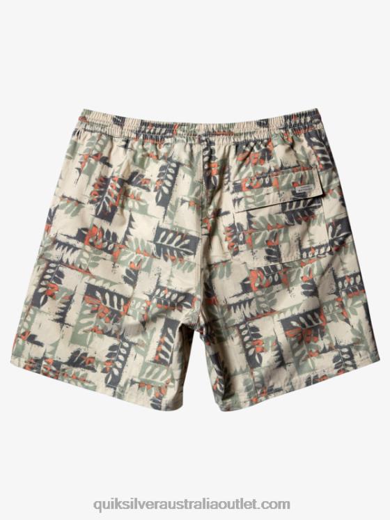 Quiksilver Men Waterman Canoes Reef 17 Volleys H2N4B546 brown rice canoe