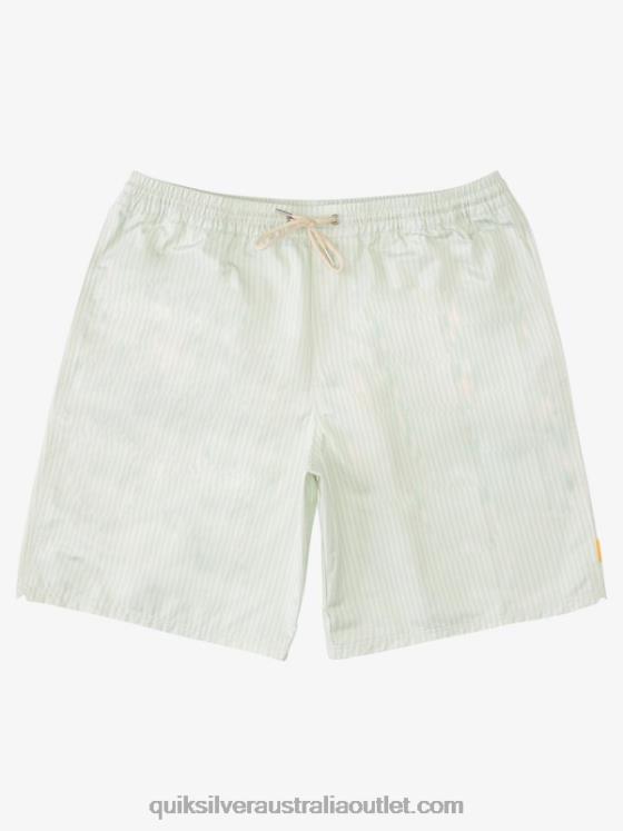 Quiksilver Men Waterman Deck Stripe 19 Volleys H2N4B1843 subtle green deck stripe