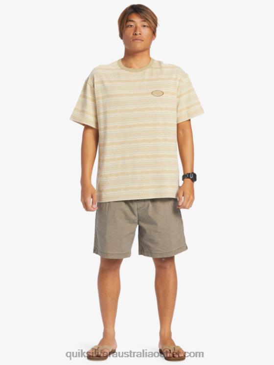 Quiksilver Men Taxer Elasticized Shorts H2N4B322 chocolate chip