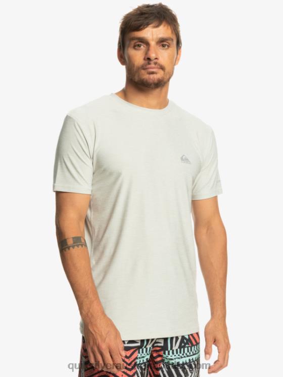 Quiksilver Men Coast Runner T-Shirt H2N4B1329 gray violet heather
