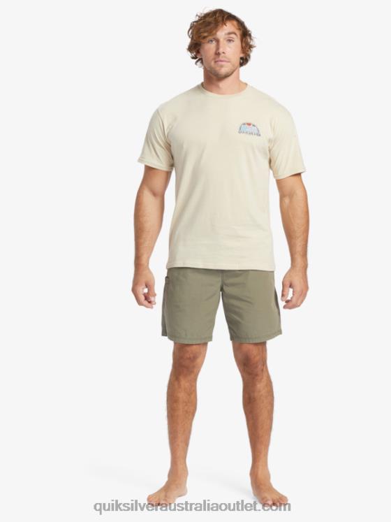 Quiksilver Men Waterman Set View T-Shirt H2N4B38 brown rice