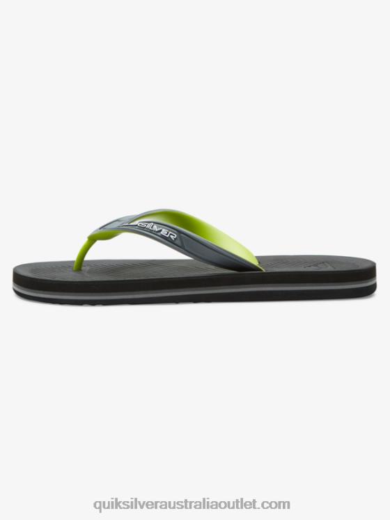 Quiksilver Men Haleiwa Core Flip-Flops H2N4B953 grey 1