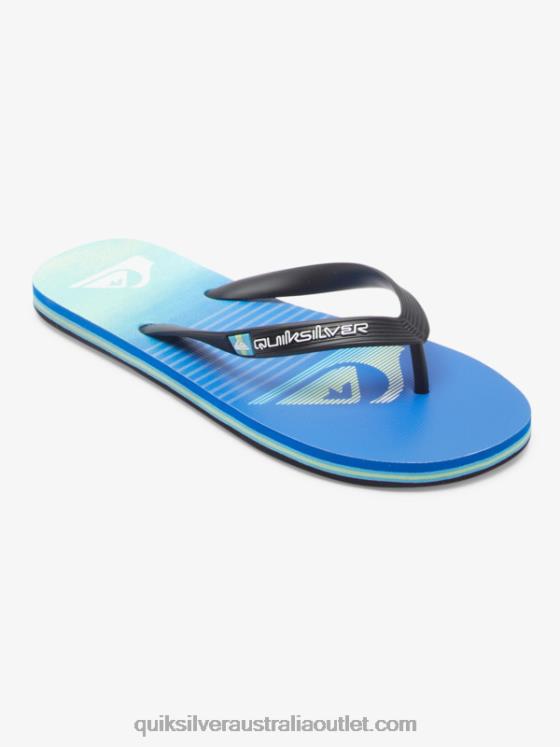 Quiksilver Men Molokai Art Flip-Flops H2N4B518 black/green/blue