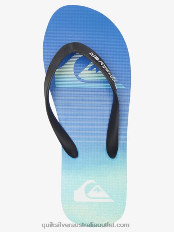 Quiksilver Men Molokai Art Flip-Flops H2N4B518 black/green/blue