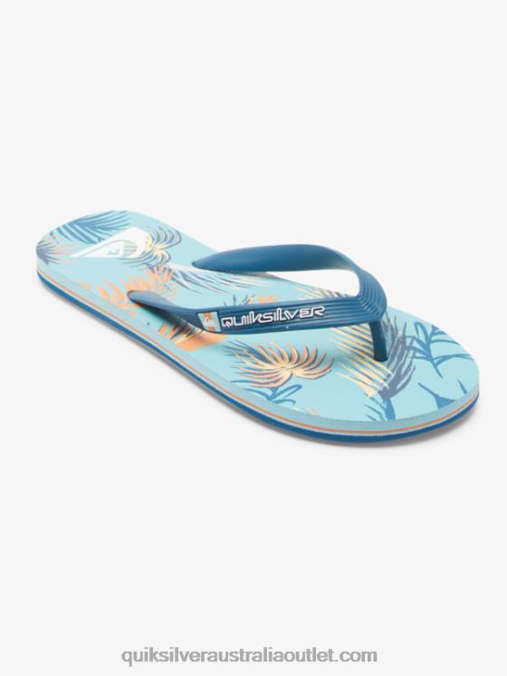 Quiksilver Men Molokai Art Flip-Flops H2N4B519 blue/black/yellow
