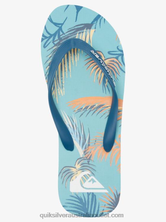 Quiksilver Men Molokai Art Flip-Flops H2N4B519 blue/black/yellow
