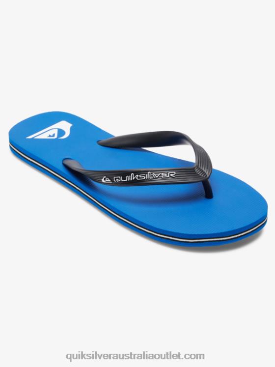 Quiksilver Men Molokai Core Flip-Flops H2N4B593 blue 1